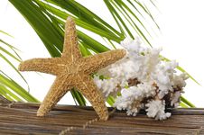 Tropical Spa Royalty Free Stock Images Tropical Spa Royalty Free Stock Images