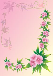 Pink Flowers Stock Images Pink Flowers Stock Images