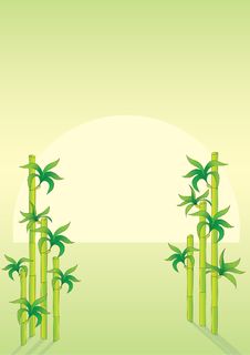 Bamboo Royalty Free Stock Photography Bamboo Royalty Free Stock Photography