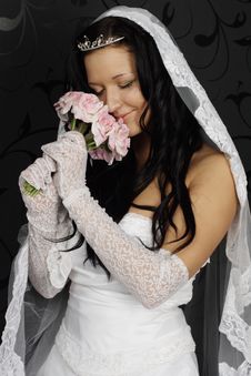 Beautiful Bride Royalty Free Stock Image