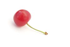 A Single Ripe Cherry Isolated On White Stock Images A Single Ripe Cherry Isolated On White Stock Images