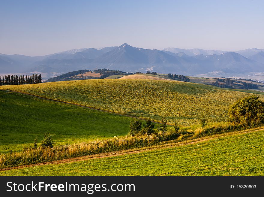 Meadows In Sunrise