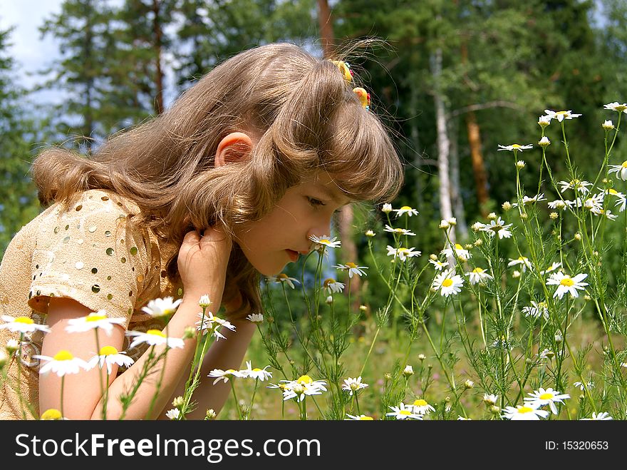 The  girl stands in the summer in park about camomiles and smells them. The  girl stands in the summer in park about camomiles and smells them