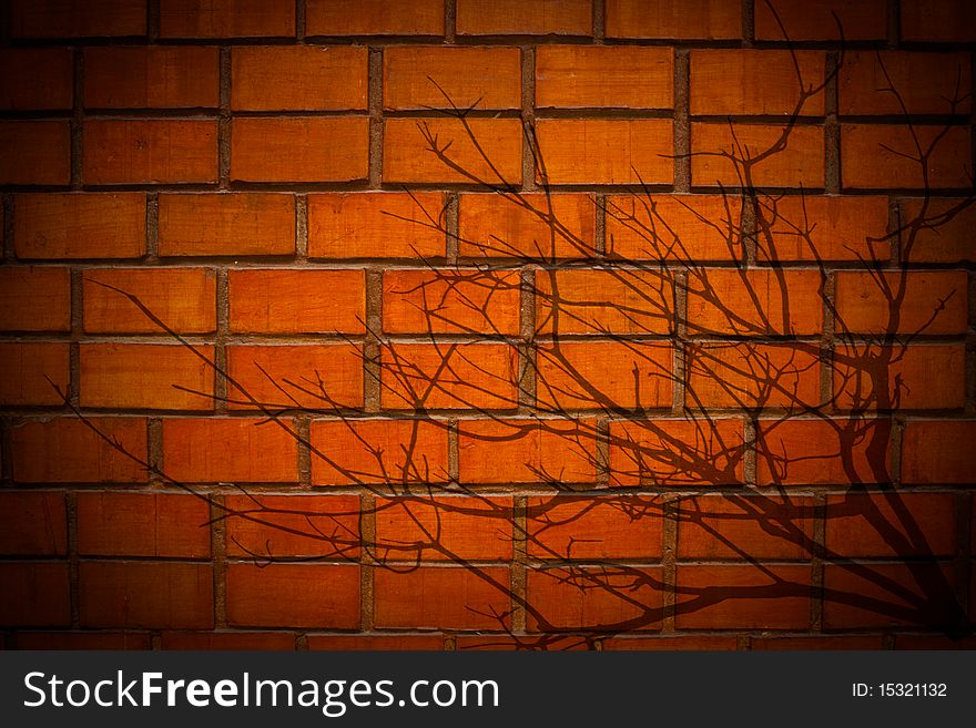 Tree shadow on brick wall
