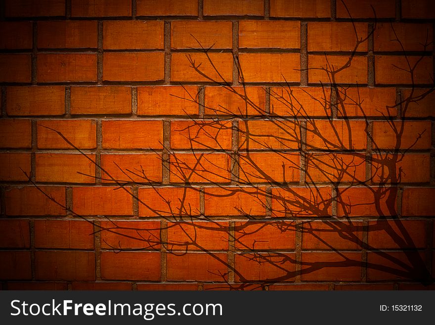 Tree Shadow On Brick Wall