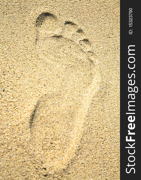 Footprint on a sandy beach in summer. Shalllow depth of field