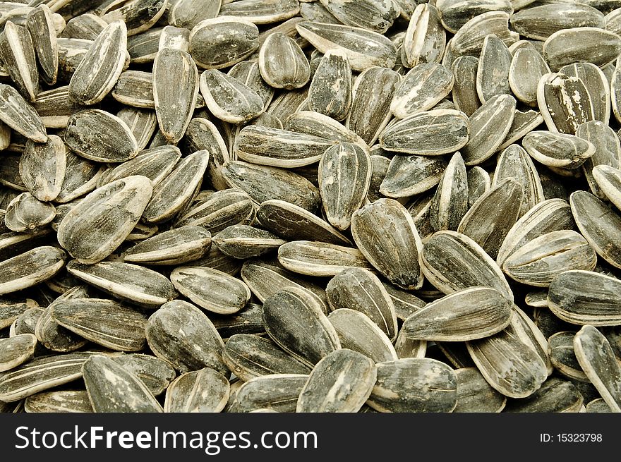 Sunflower seeds background texture detail