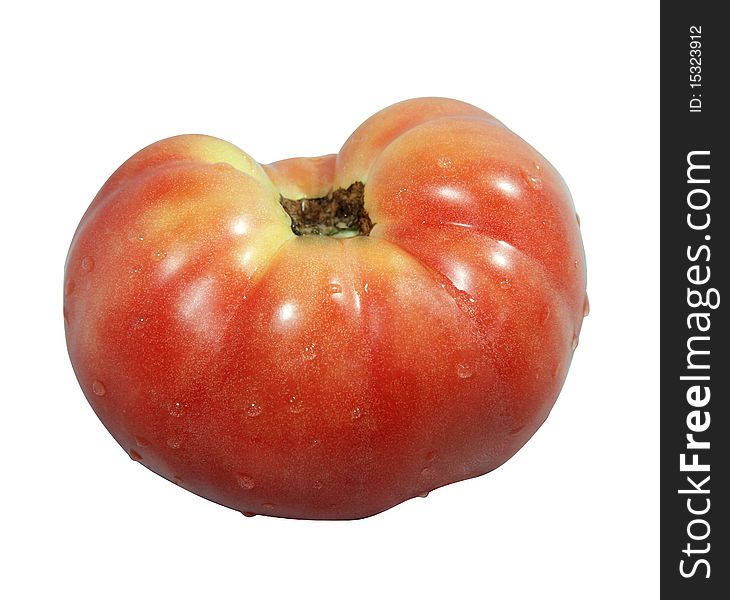 Single tomato isolated on white background. Single tomato isolated on white background