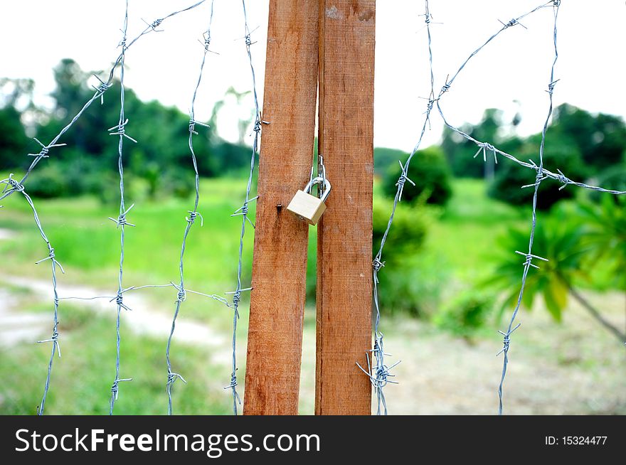 Barb wire door and lock.