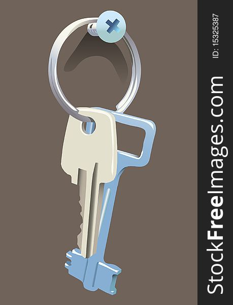 Pair of keys on wall. Vector