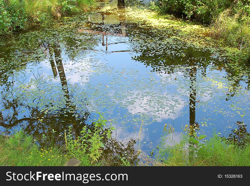 Blue Sky Is Reflected In Pond