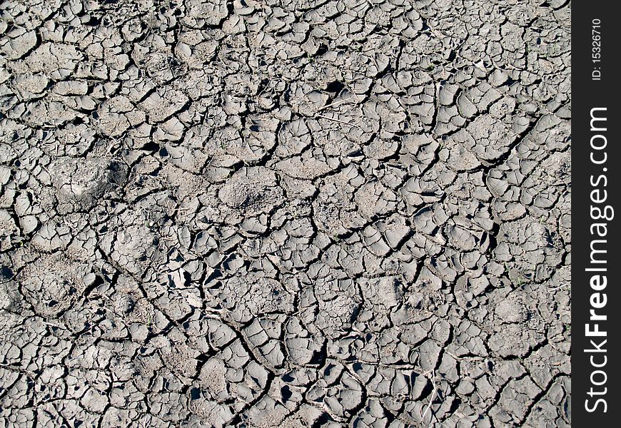 Ground cracked by summer drought. Ground cracked by summer drought
