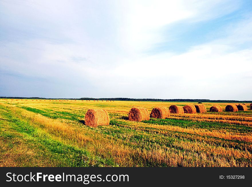 Harvest very nice summer day belorussian landscape. Harvest very nice summer day belorussian landscape