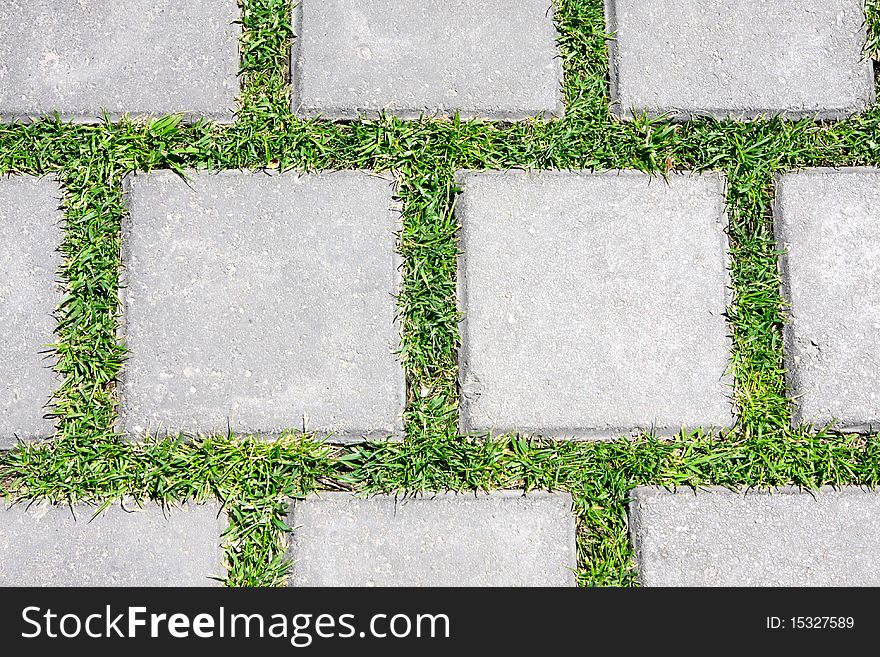 Grass betreen stones on pavement