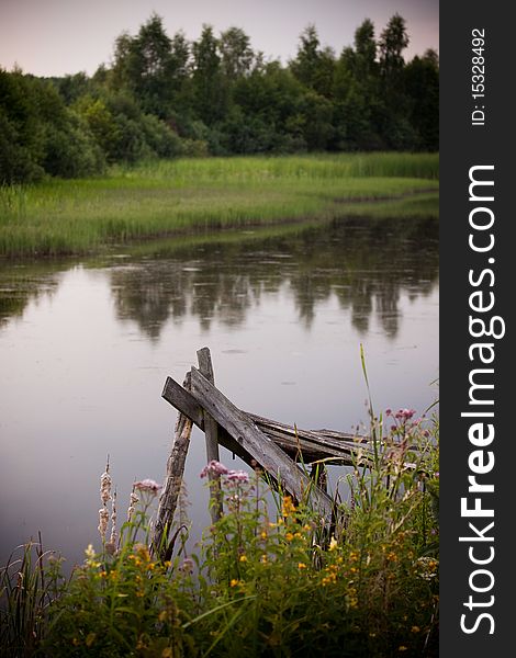 Beautiful fish pound with canes and forest in background