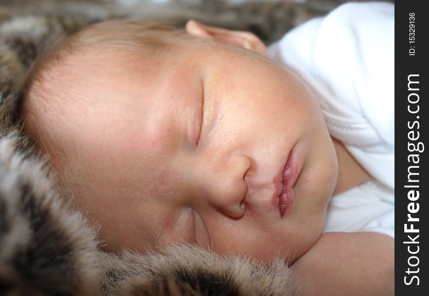 Baby asleep on fur blanket