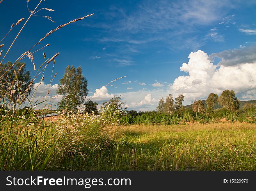 Blue sky over green field