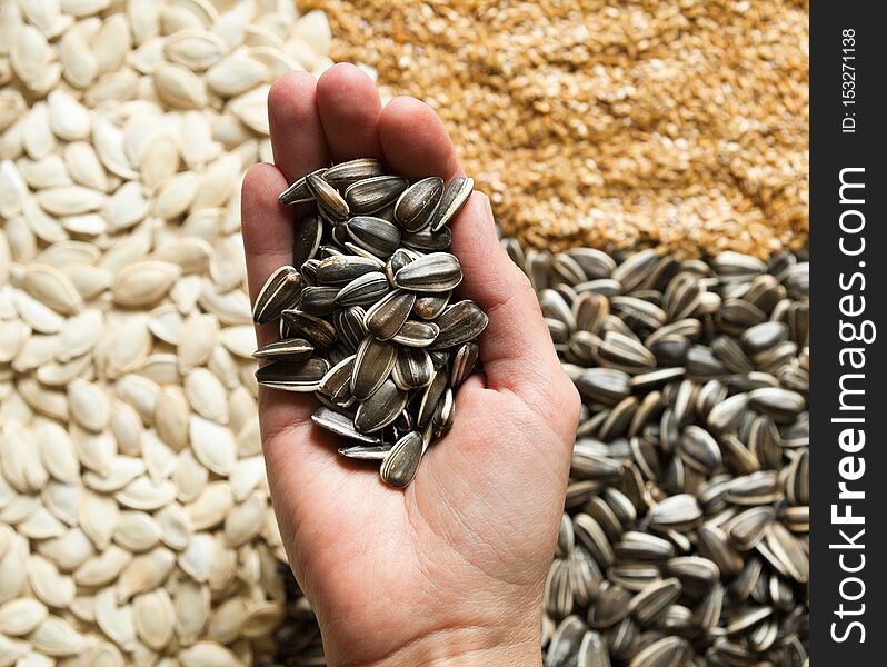 Hand holding sunflower seeds against sesame, sunflower and pumpkin seeds background. Healthy food