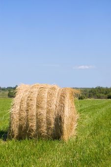 Haystacks Harvest Against The Skies Stock Image