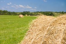 Haystacks Harvest Against The Skies Royalty Free Stock Photography Haystacks Harvest Against The Skies Royalty Free Stock Photography