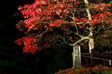 Japanese Autumn Royalty Free Stock Photos Japanese Autumn Royalty Free Stock Photos
