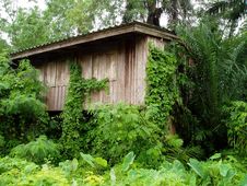 Abandoned House. Stock Images
