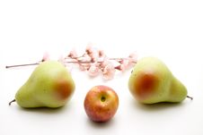 Nectarine And Pears Stock Photography Nectarine And Pears Stock Photography