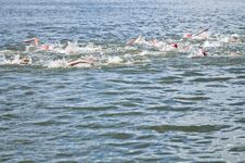 Swimming In Competition Race Royalty Free Stock Photos