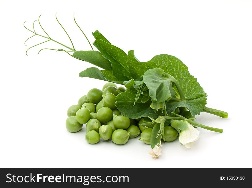 Green pea with blossom isolated on white