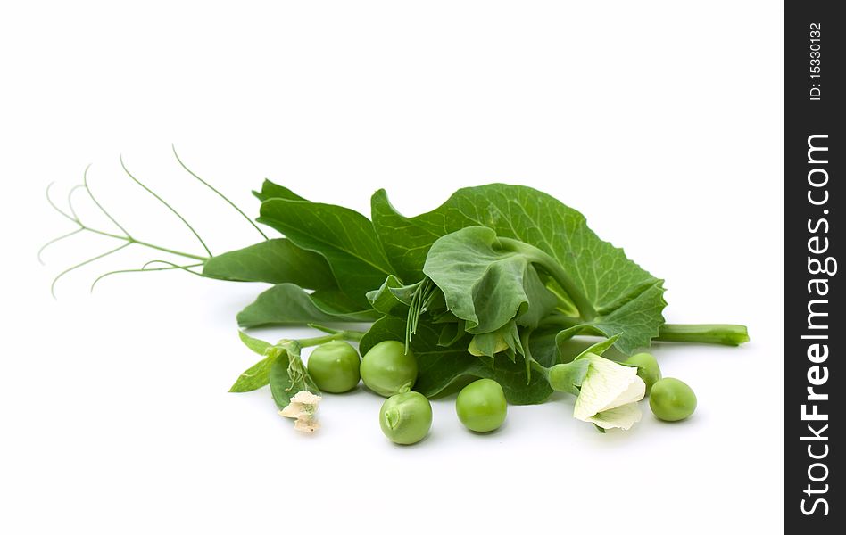 Green pea with blossom isolated on white