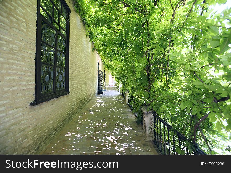 Gardens of the Alcazar, Seville