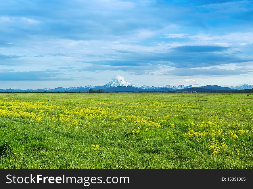 Green grassy field with yellow flowers against the evening sky and cloud volcano. Green grassy field with yellow flowers against the evening sky and cloud volcano