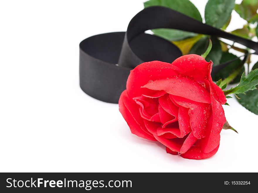 Red rose with black ribbon on white