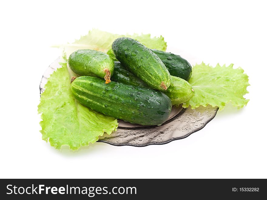 Fresh cucumbers on plate with green lettuce