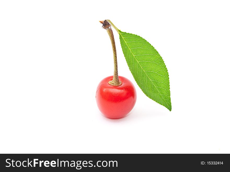 Fresh cherry fruit with green leave