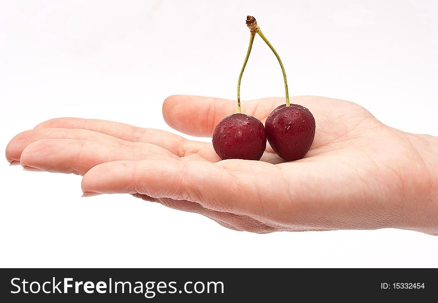 Hand holding red cherry on white