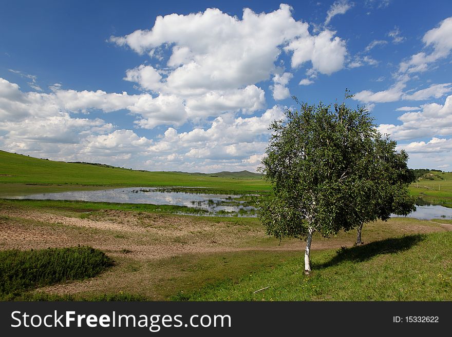 Beautiful landscape in grassland of Mongolia.