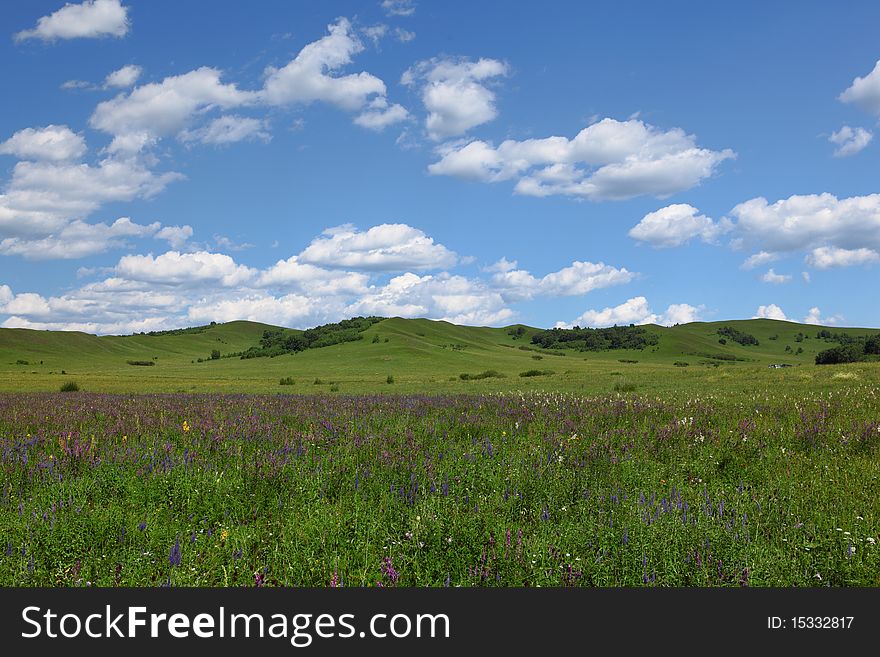 Beautiful landscape in grassland of Mongolia.