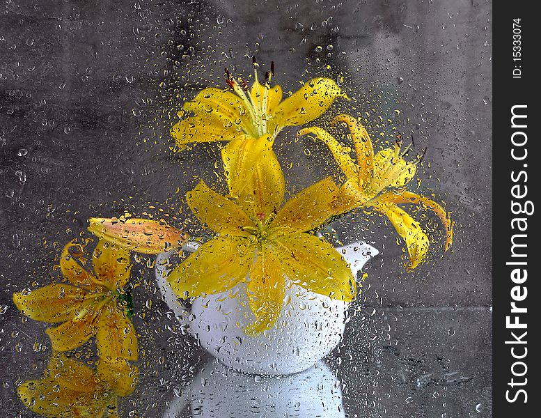 Bouquet of yellow lily in a white tea-pot after wet glass. Bouquet of yellow lily in a white tea-pot after wet glass