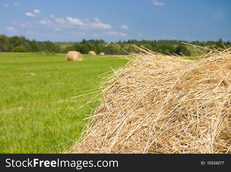 Haystacks harvest against the skies