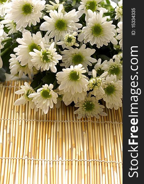 Bowl of Chrysanthemums flowers on bamboo mat