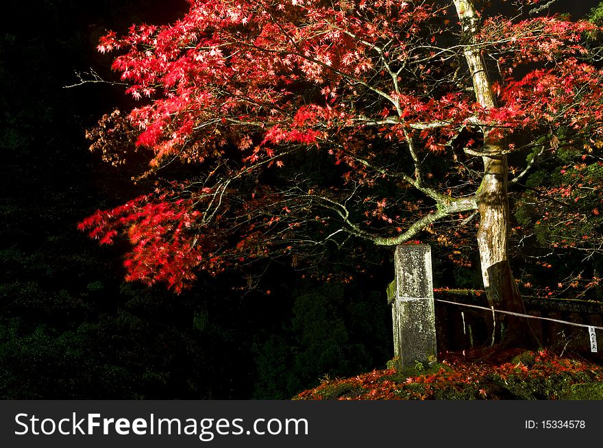 Autumn night in the Japanese resort Nikko. Autumn night in the Japanese resort Nikko