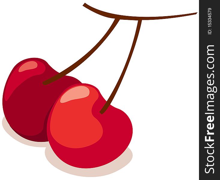 Illustration of isolated red of cherries on white background. Illustration of isolated red of cherries on white background