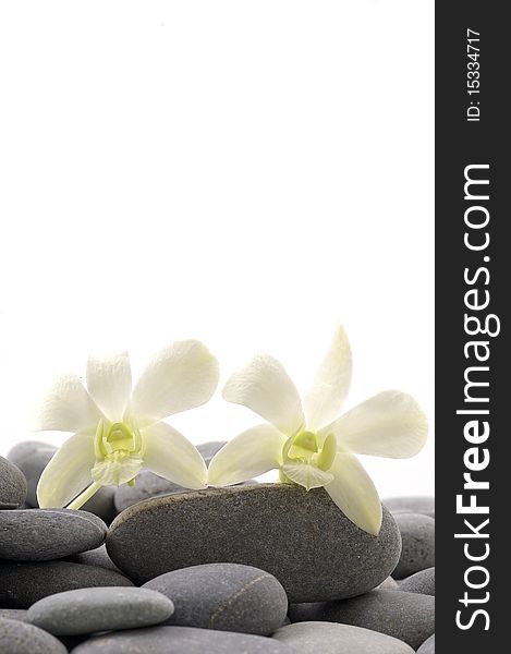 Beautiful orchid with stack of pebbles. Beautiful orchid with stack of pebbles