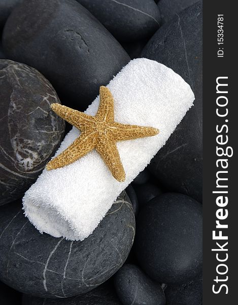 Starfish With Stones