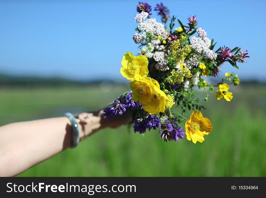 Hands Of Flowers In Grassland