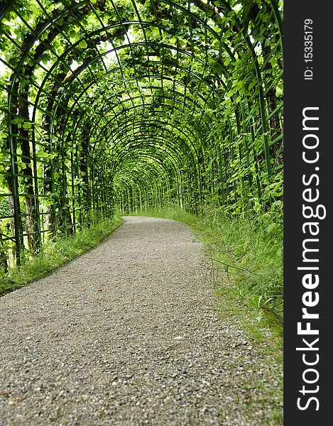 Canopy over walkway covered with leaves. Canopy over walkway covered with leaves