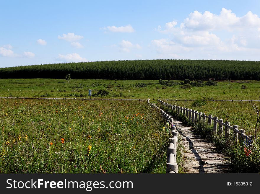 Beautiful landscape in grassland of Mongolia.