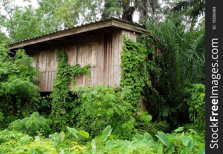 Abandoned house beside the road it located in Thailand. Abandoned house beside the road it located in Thailand.