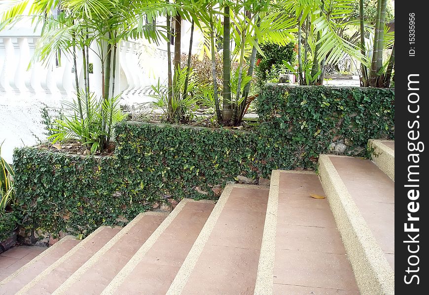 Beautiful stairway near the building .It was decorated with green plant.